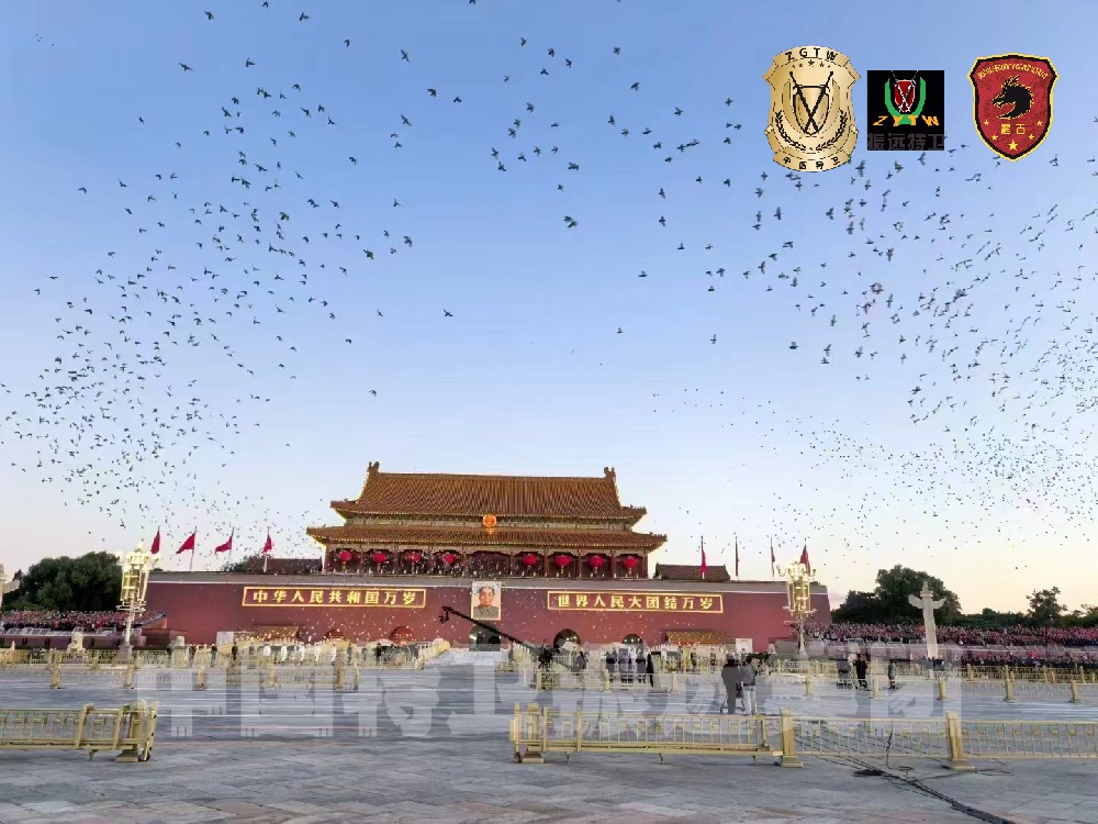 北京市特卫职业技能鉴定中心